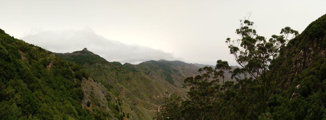 ROQUE LAS ANIMAS Y ROQUE MATASNO