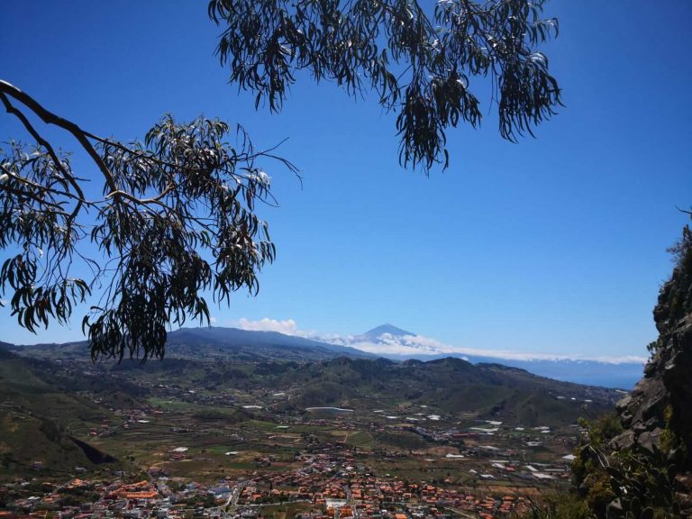 Vista del Teide desde la mesa tejia