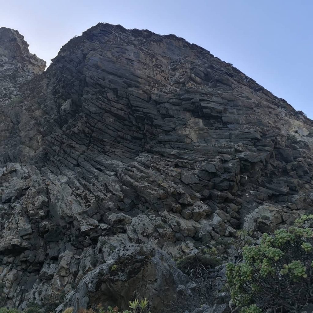 Más Viejos y más calvos Roque Las Animas