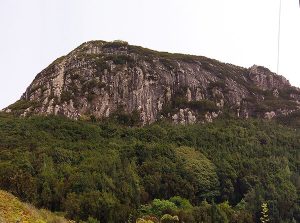 Roque Negro Afur