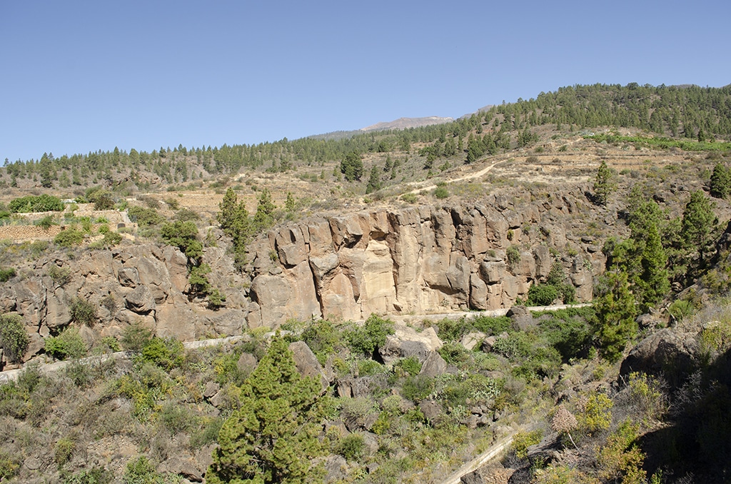 panorÃ¡mica Los Naranjos