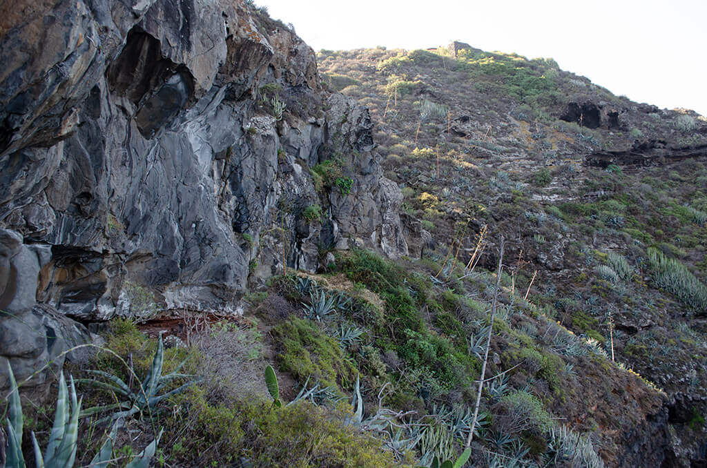 Sector charco del negro