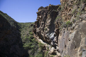 panorámica polegre bajo