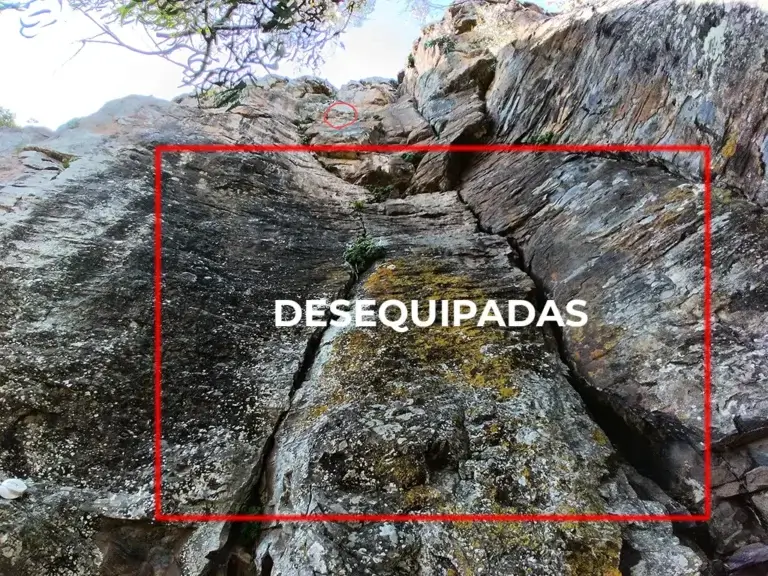 Sector Eucaliptos Tejina