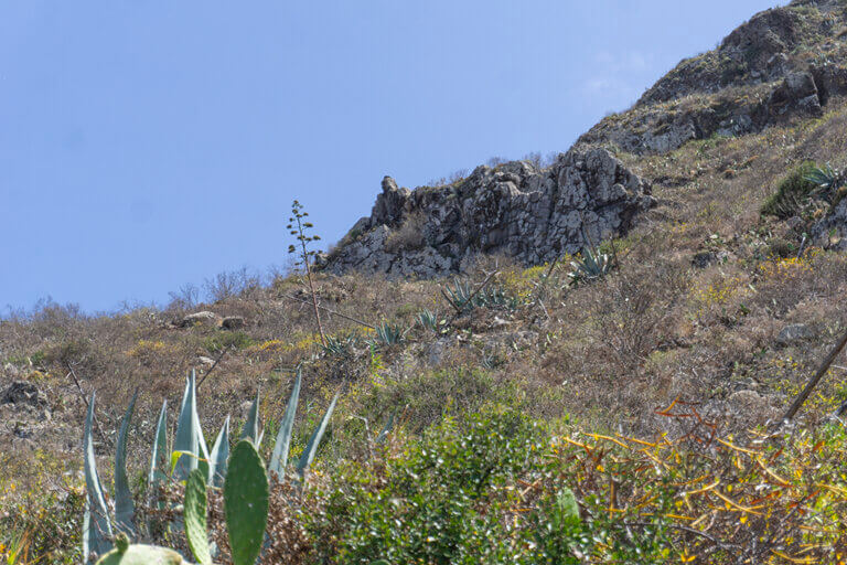 Zona escalada Soldadito